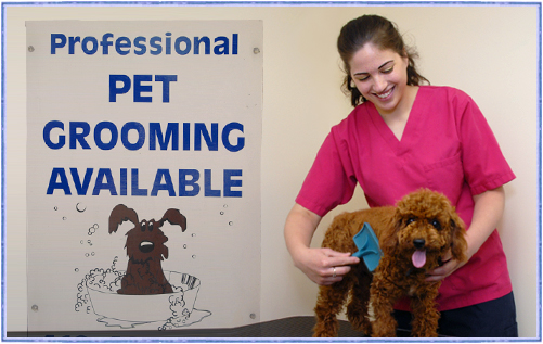 scarborough-pet-grooming